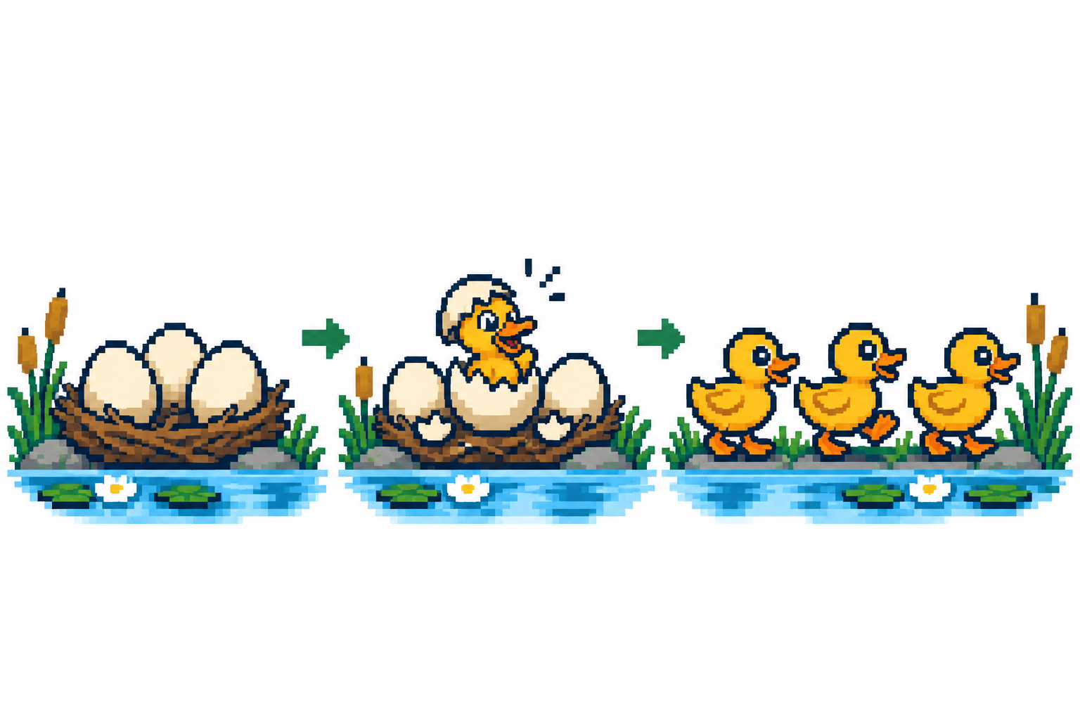 Study plans are the eggs; they hatch into ducklings, research ideas realized
